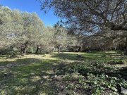 Episkopi bei Rethymno Kreta, Episkopi: Neubau-Projekt! Fabelhafte Villa mit Pool und Meerblick zu verkaufen Haus kaufen